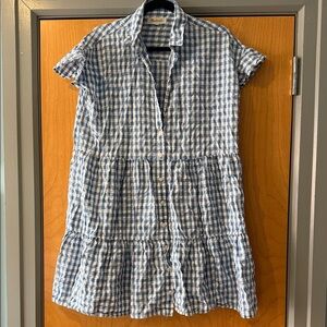 Blue and White Gingham Dress Madewell Size M